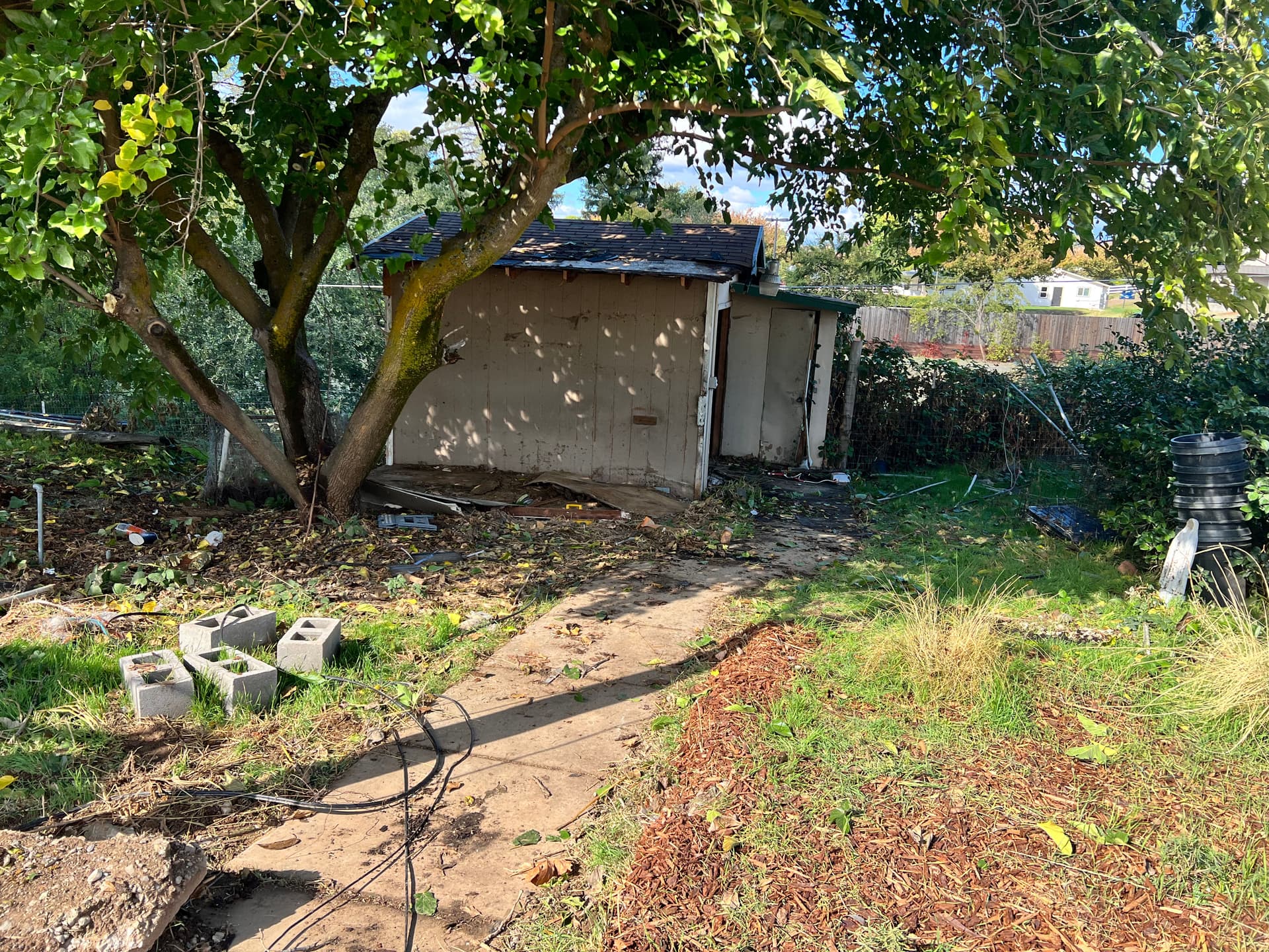 Shed Transformation in Orangevale