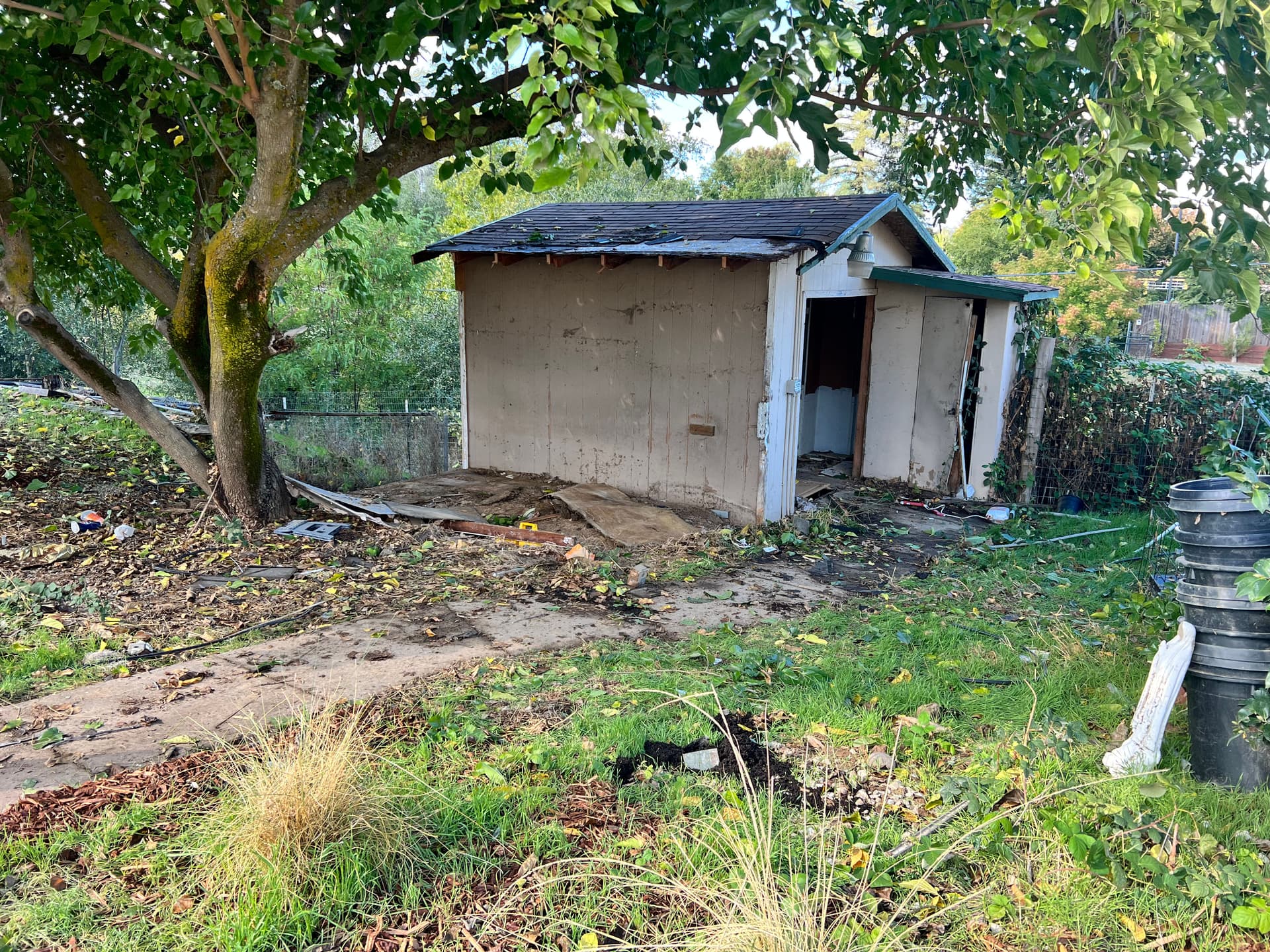 Shed Transformation in Orangevale
