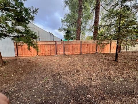 Transformative Backyard Fencing in Davis CA